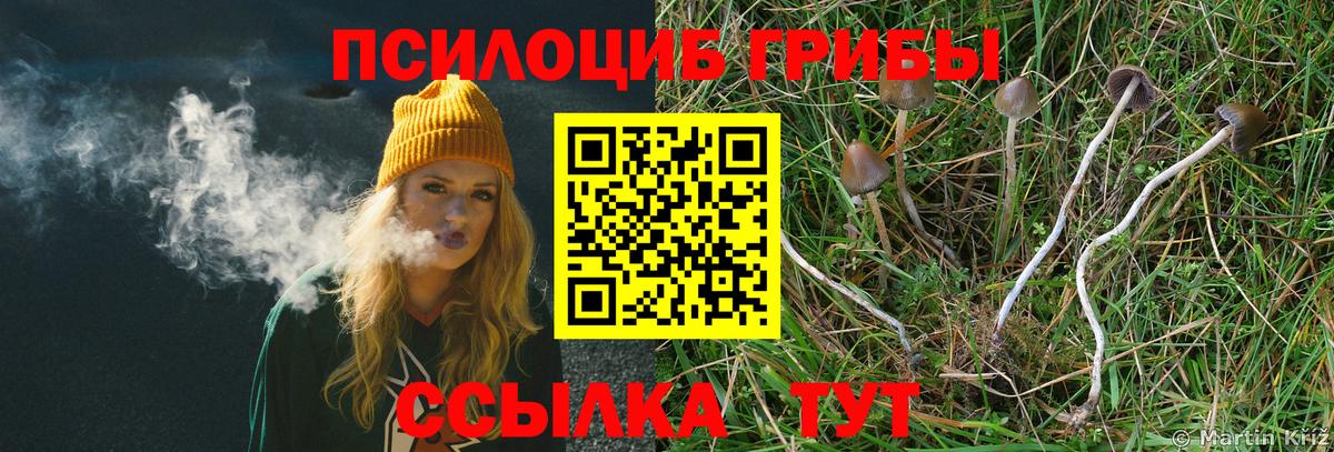 Галлюциногенные грибы мицелий Серов